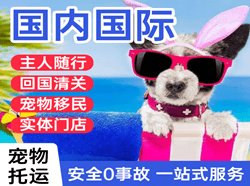 沧源佤山航空运输国际宠物托运 【国
